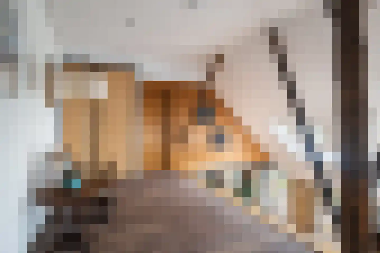 Durk Ljibbeswei 5 De Tike thumbnail 36