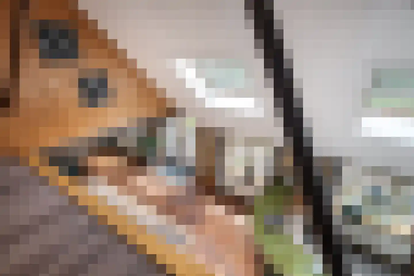 Durk Ljibbeswei 5 De Tike thumbnail 38
