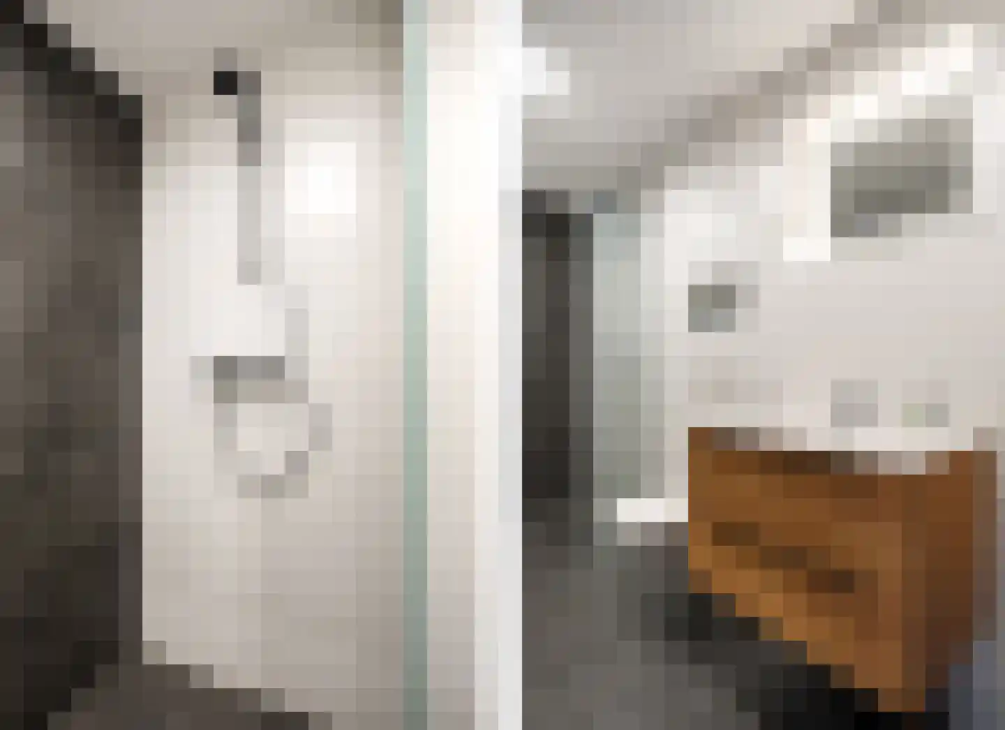 Durk Ljibbeswei 5 De Tike thumbnail 39