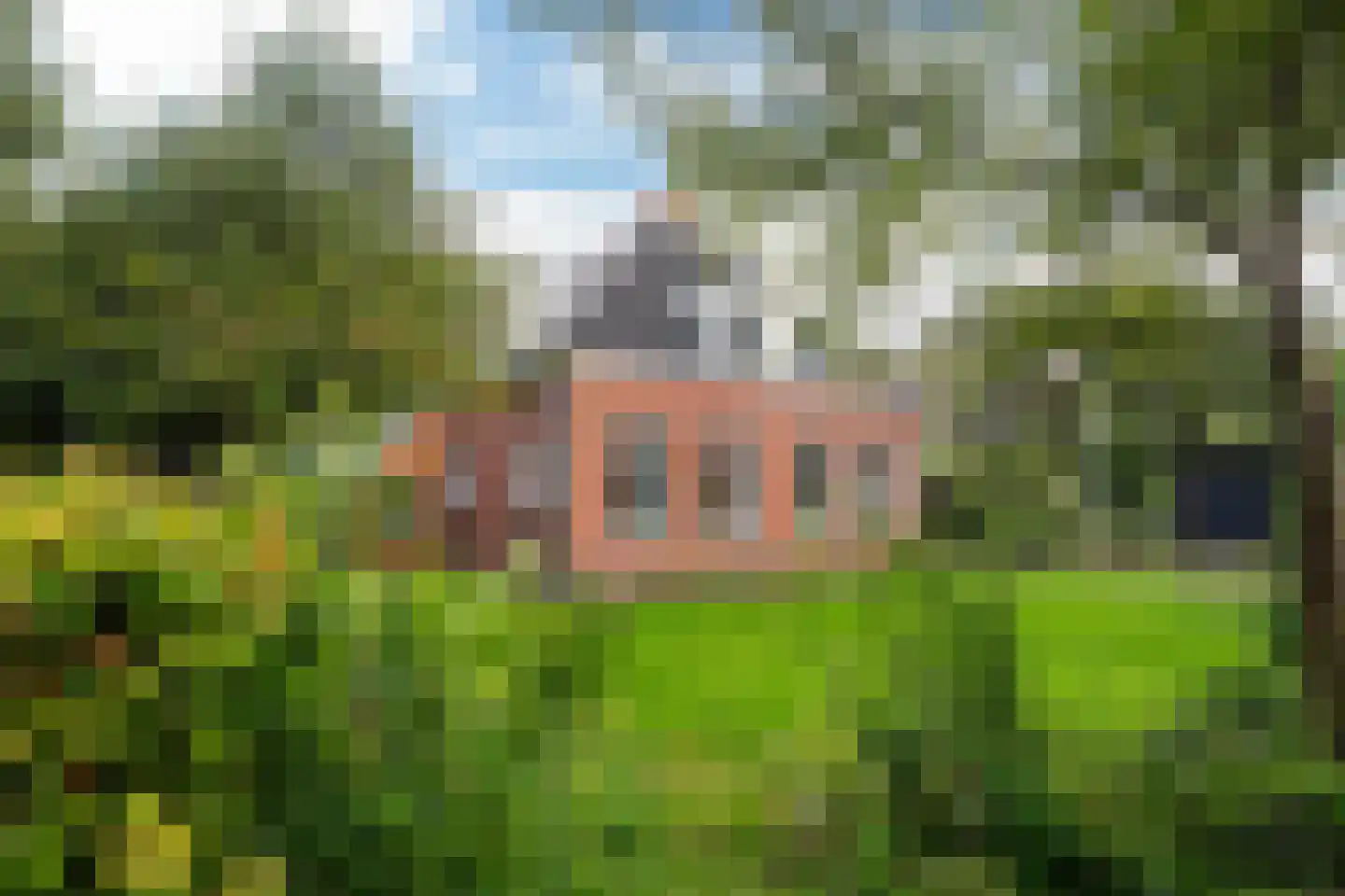Durk Ljibbeswei 5 De Tike thumbnail 4