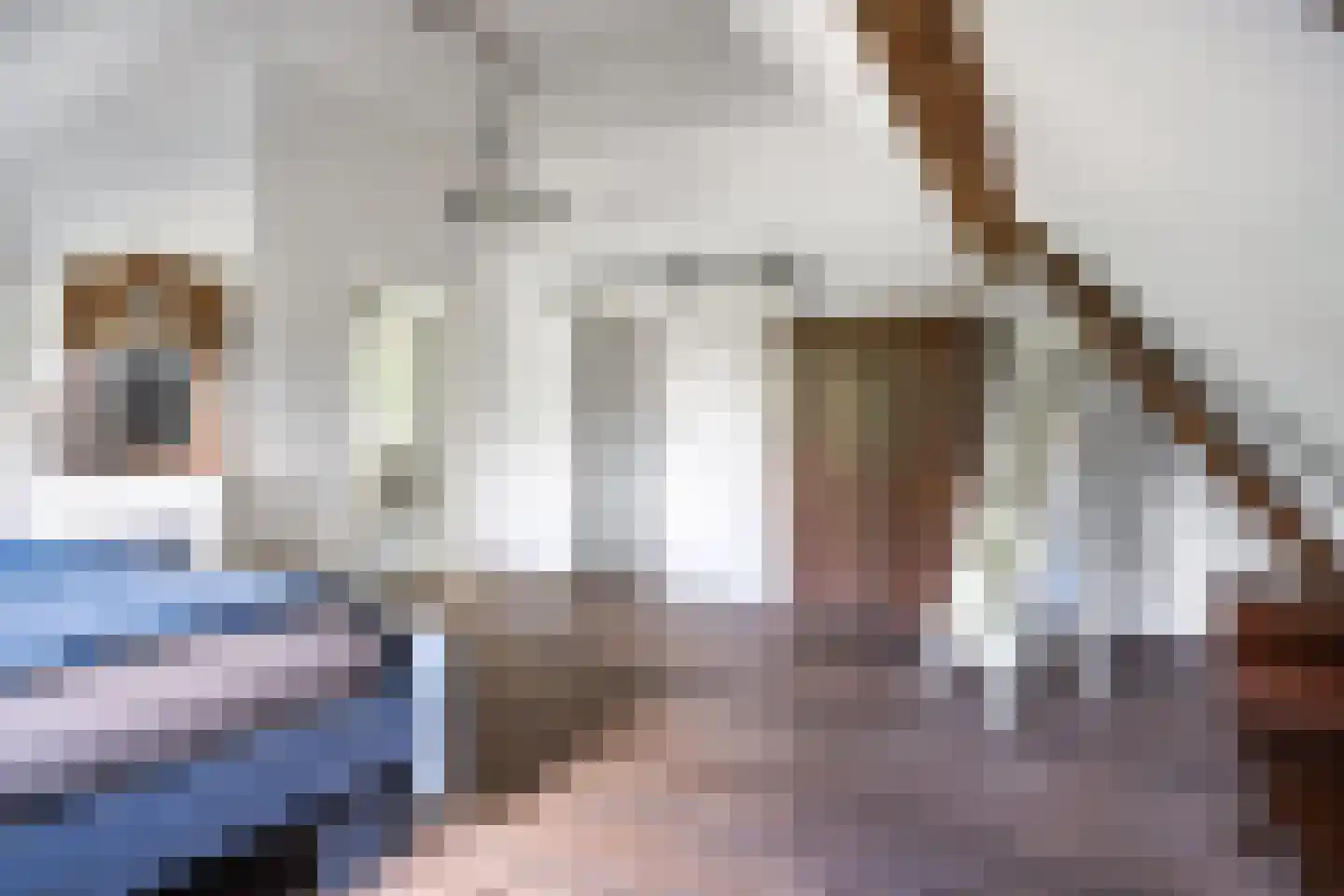 Durk Ljibbeswei 5 De Tike thumbnail 42