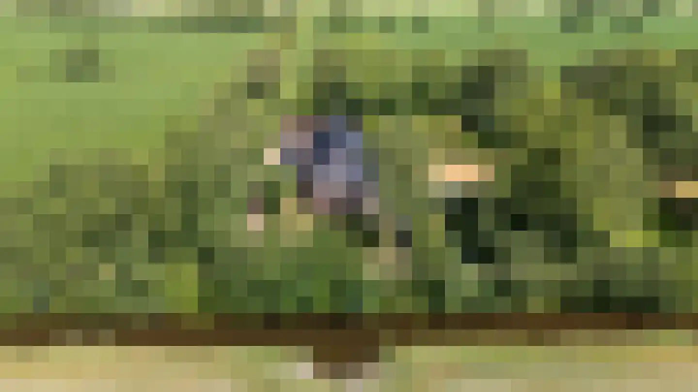 Durk Ljibbeswei 5 De Tike thumbnail 5