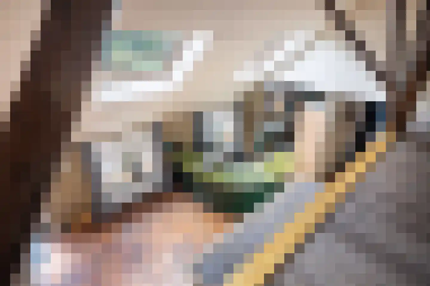 Durk Ljibbeswei 5 De Tike thumbnail 53