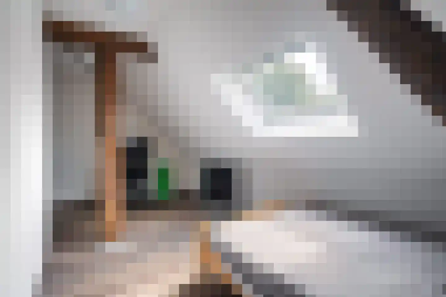 Durk Ljibbeswei 5 De Tike thumbnail 54