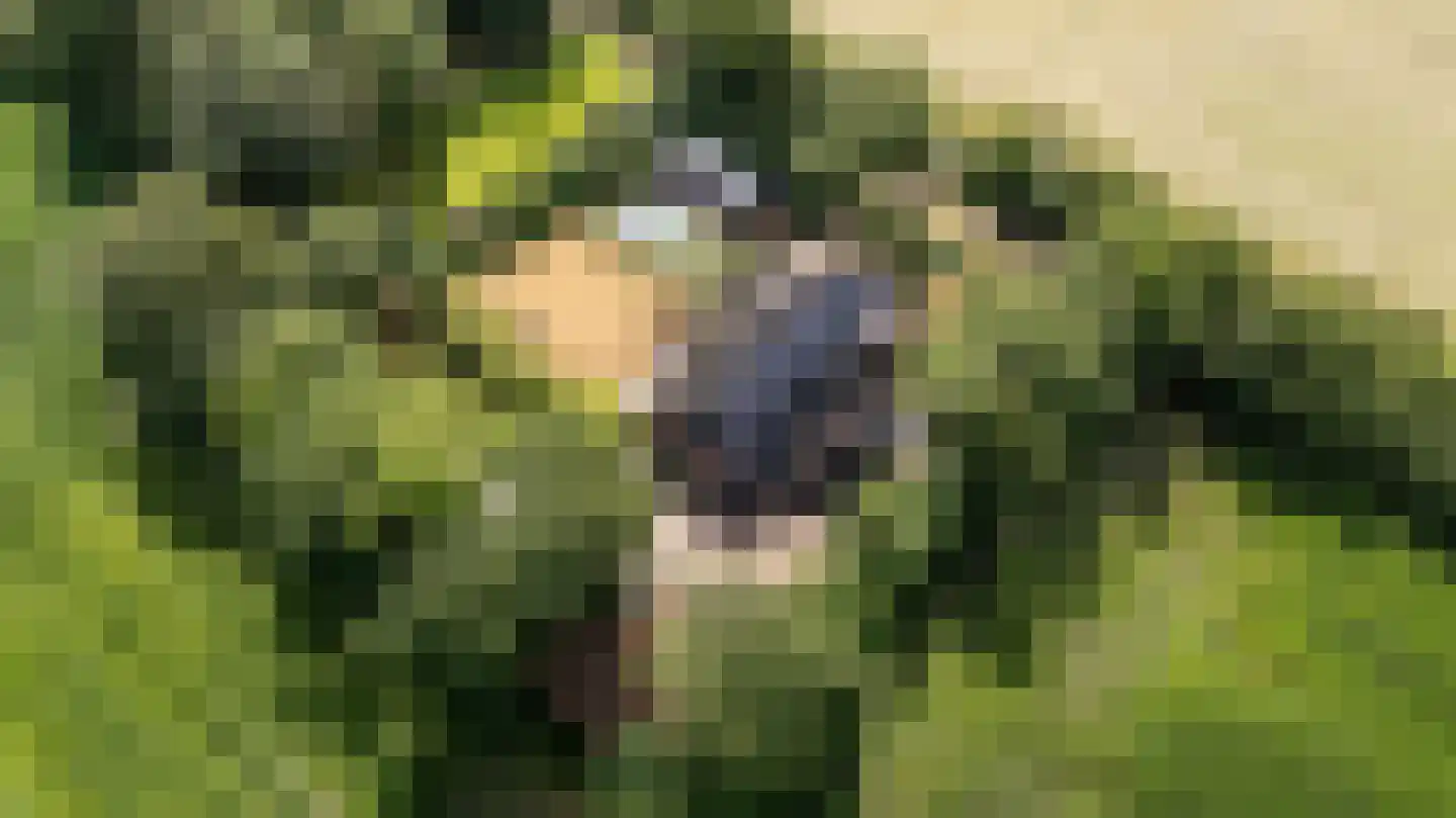 Durk Ljibbeswei 5 De Tike thumbnail 6