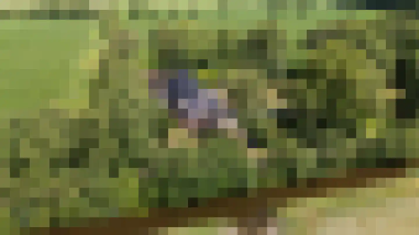 Durk Ljibbeswei 5 De Tike thumbnail 67
