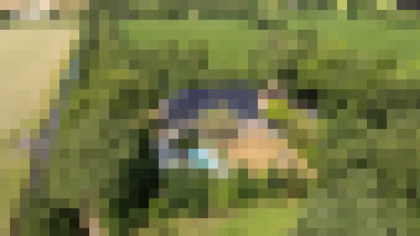 Durk Ljibbeswei 5 De Tike thumbnail 68