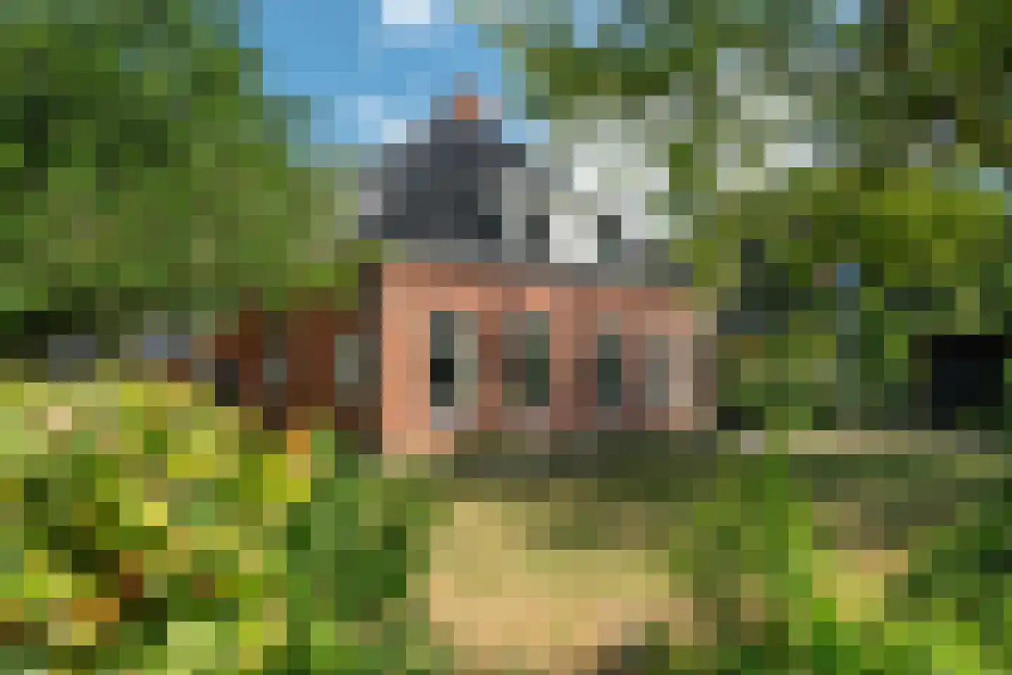 Durk Ljibbeswei 5 De Tike thumbnail 7
