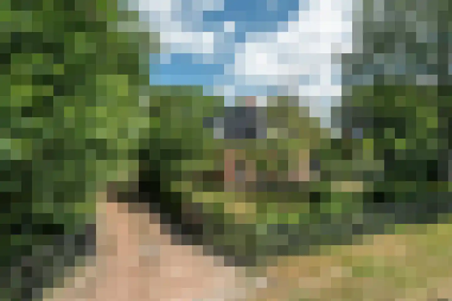 Durk Ljibbeswei 5 De Tike thumbnail 70