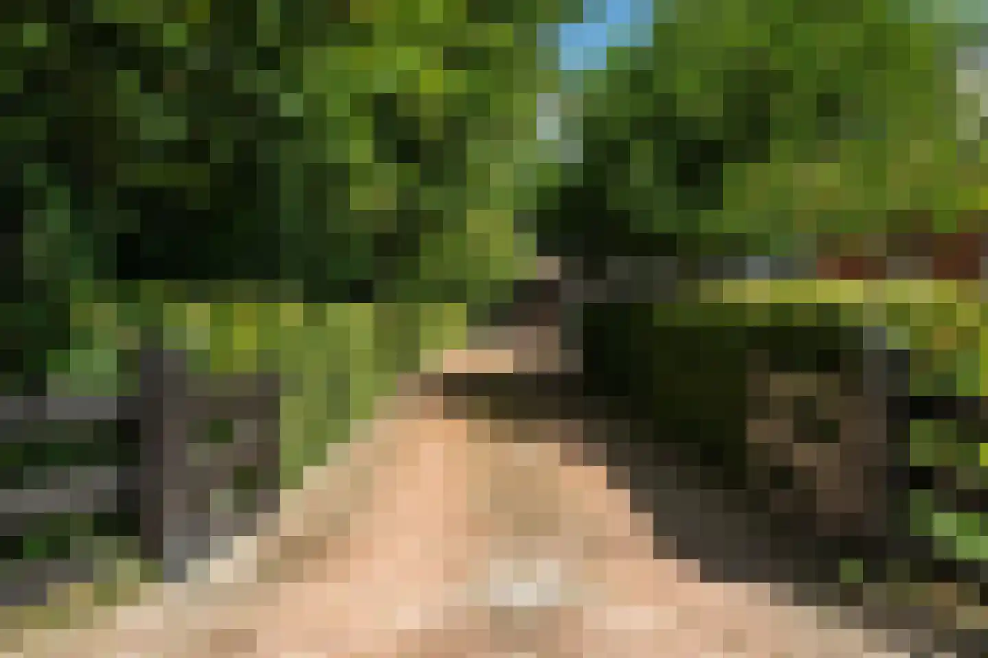 Durk Ljibbeswei 5 De Tike thumbnail 73