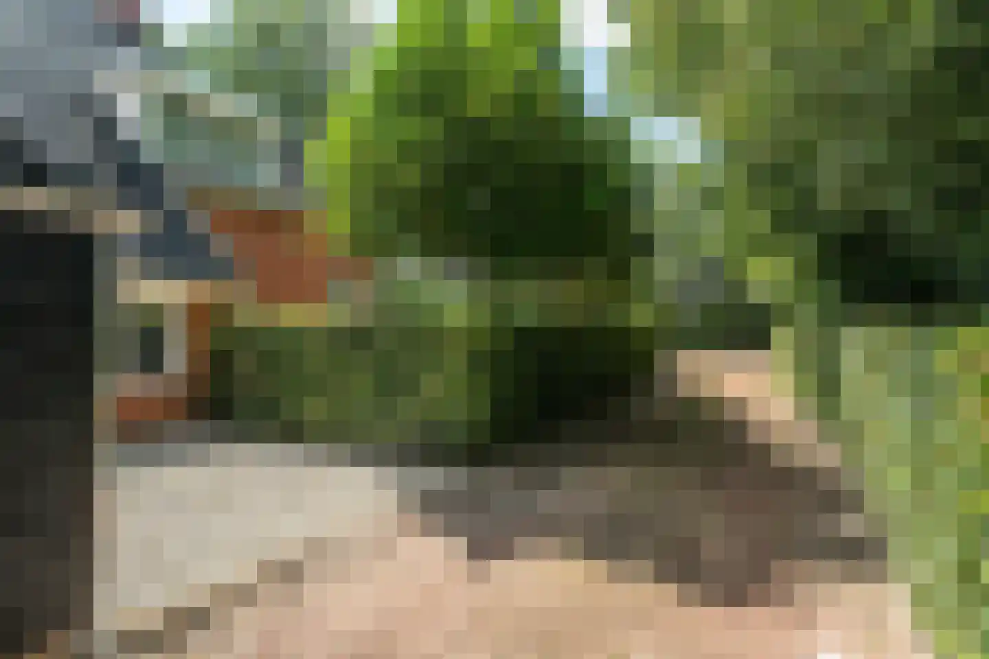 Durk Ljibbeswei 5 De Tike thumbnail 75