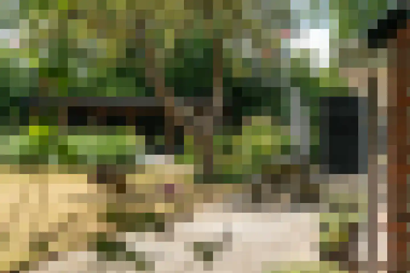 Durk Ljibbeswei 5 De Tike thumbnail 85