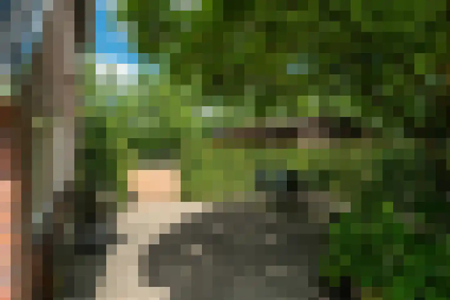 Durk Ljibbeswei 5 De Tike thumbnail 90