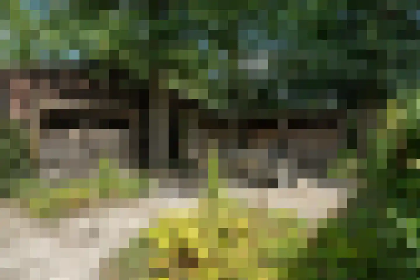 Durk Ljibbeswei 5 De Tike thumbnail 92