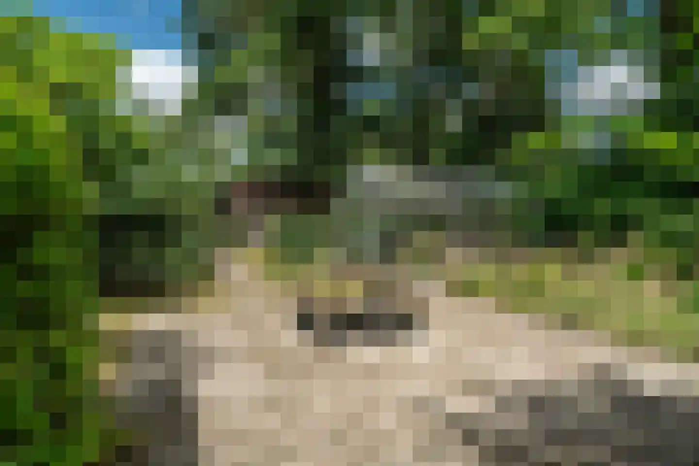 Durk Ljibbeswei 5 De Tike thumbnail 93