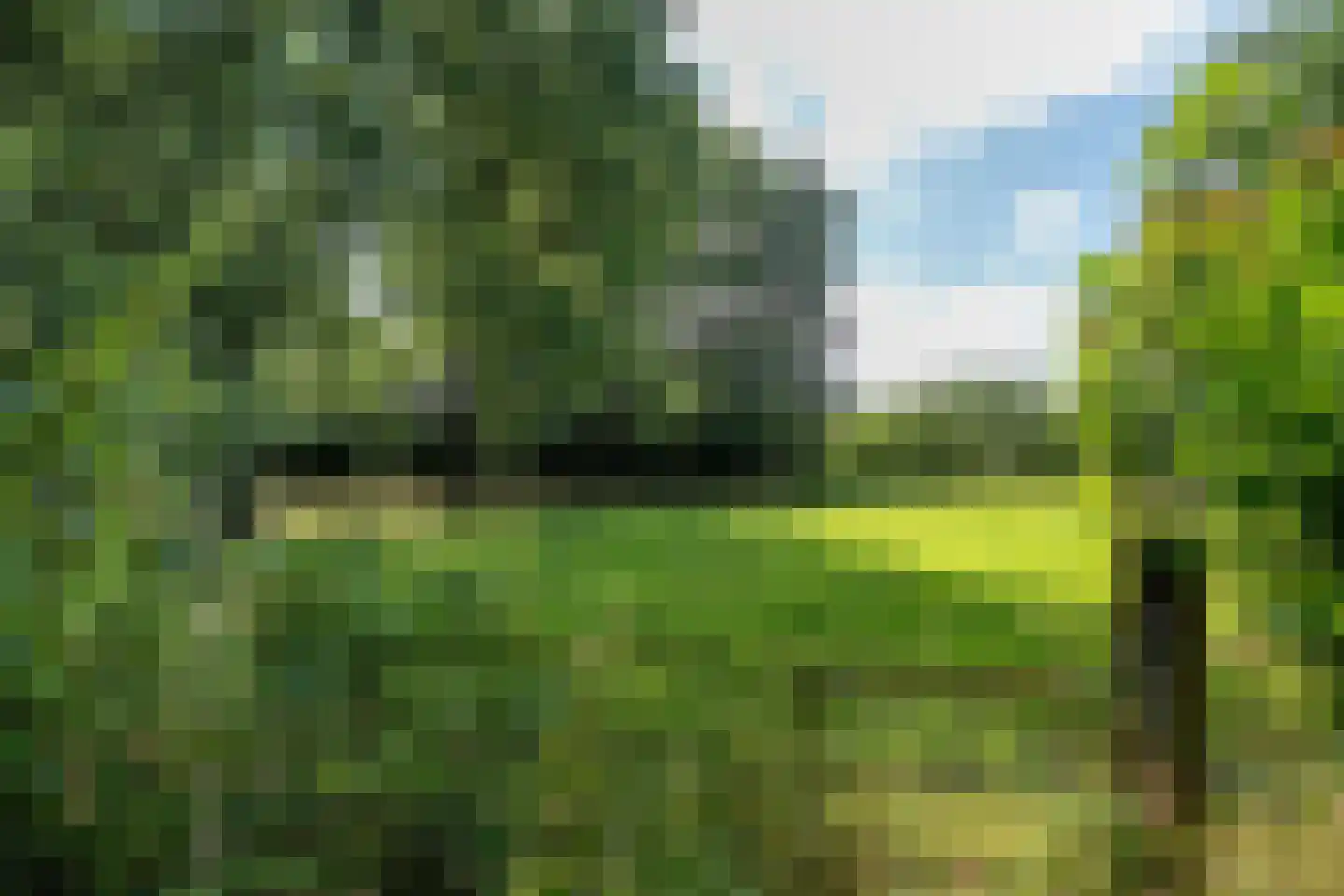 Durk Ljibbeswei 5 De Tike thumbnail 98