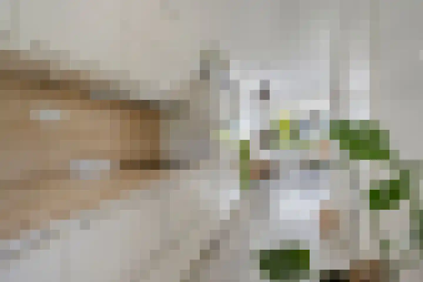 Dürst Brittlaan 22 Heerde thumbnail 10