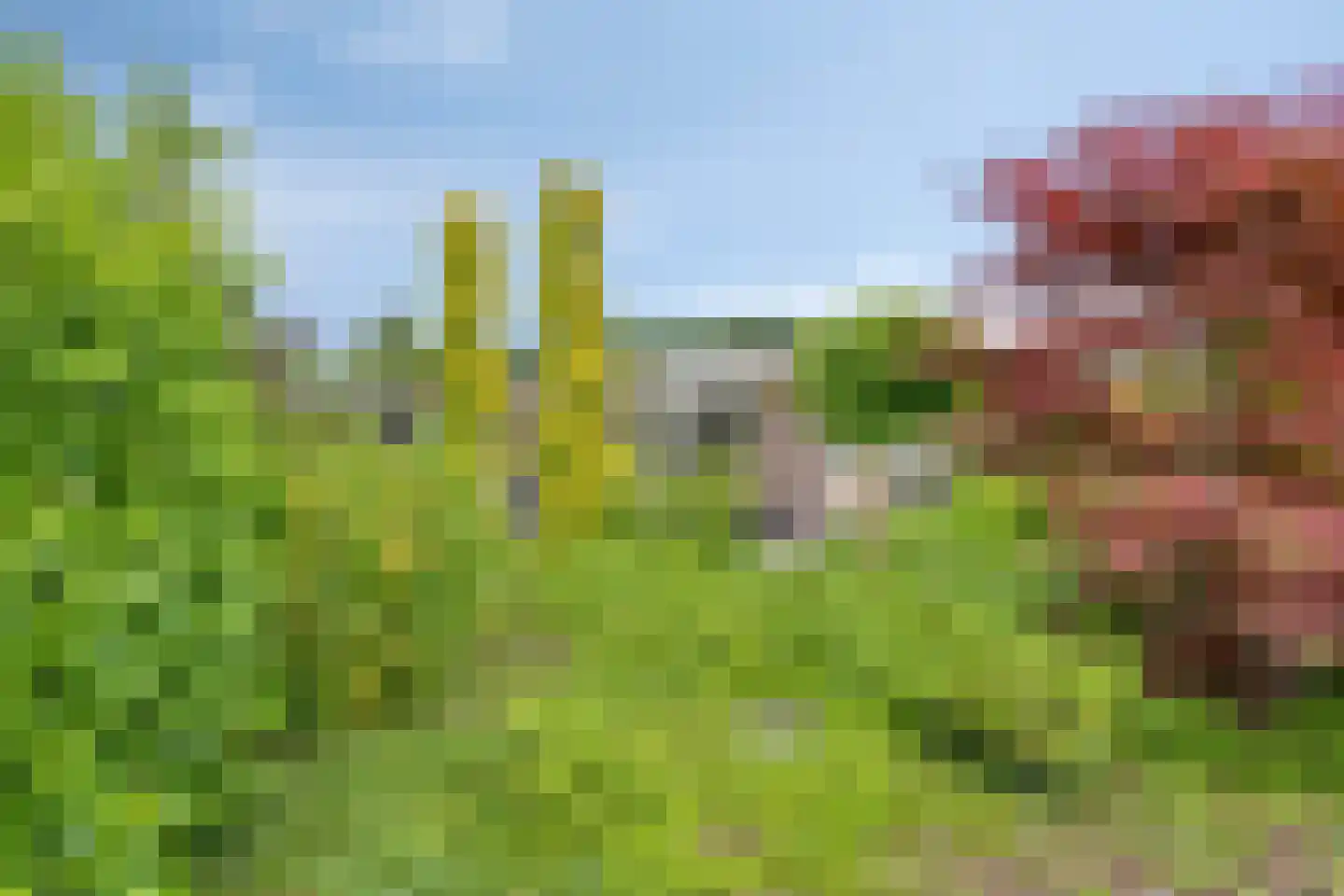 Dürst Brittlaan 22 Heerde thumbnail 19