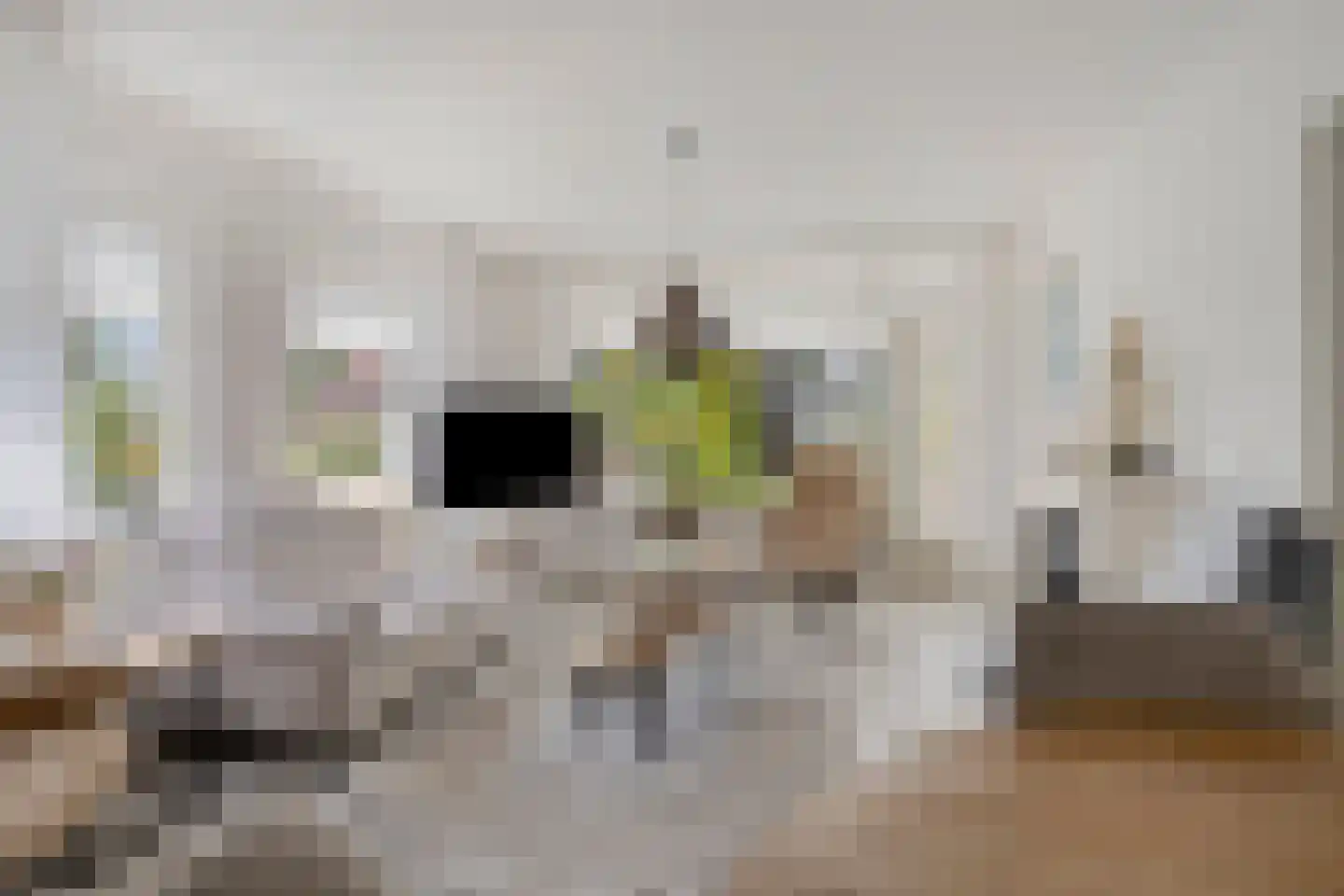 Dürst Brittlaan 22 Heerde thumbnail 6