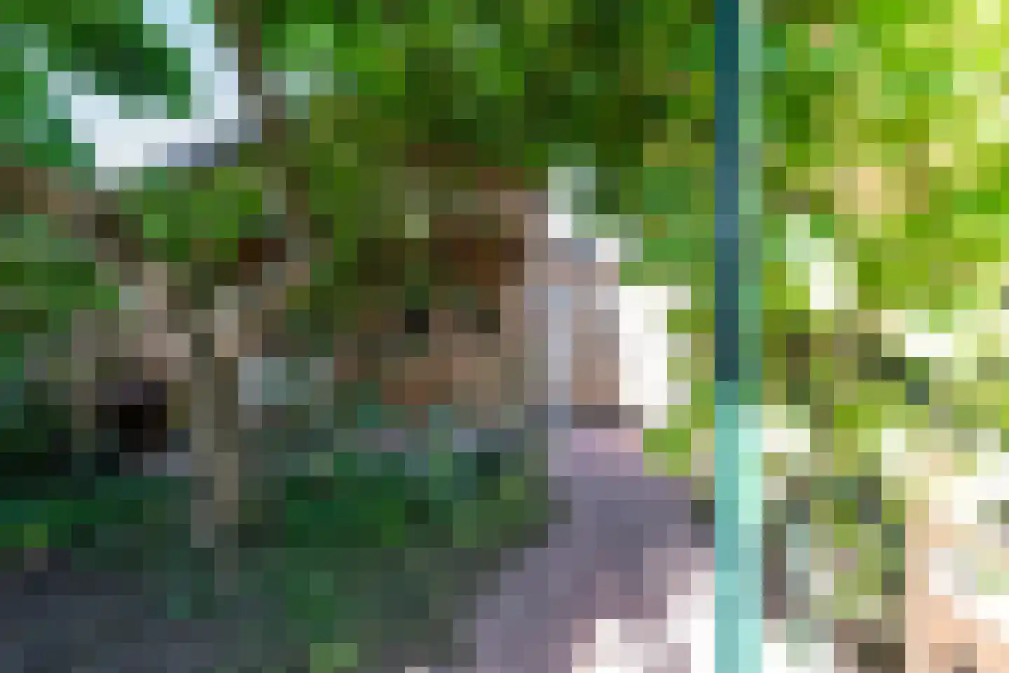 Dürst Brittlaan 26 Heerde thumbnail 4
