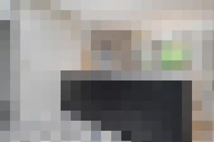 Dürst Brittlaan 43 Heerde thumbnail 18
