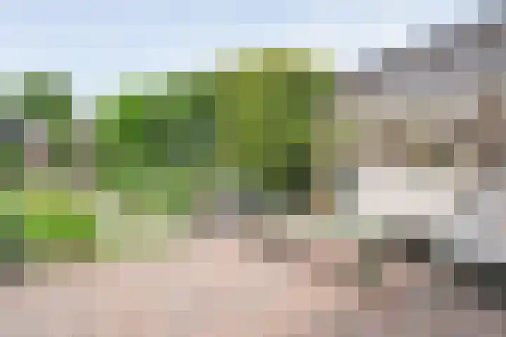 Dürst Brittlaan 43 Heerde thumbnail 35