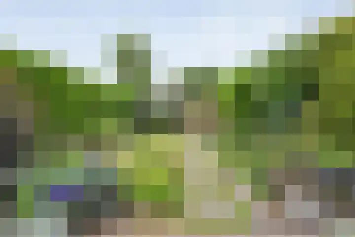 Dürst Brittlaan 43 Heerde thumbnail 37
