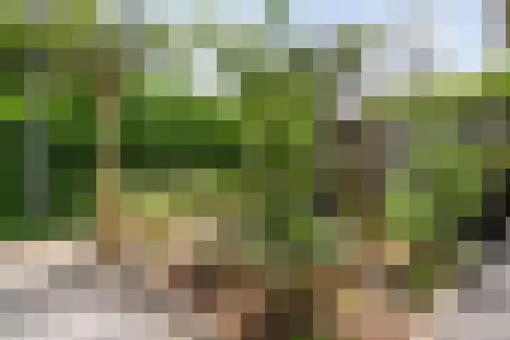 Dürst Brittlaan 43 Heerde thumbnail 4