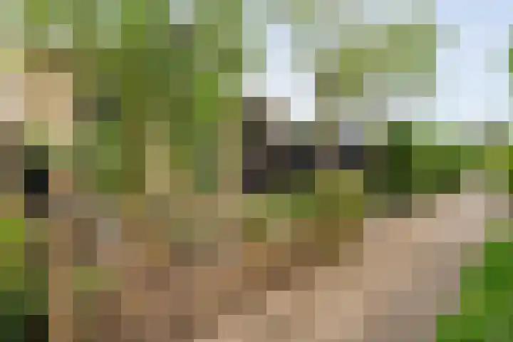 Dürst Brittlaan 43 Heerde thumbnail 5