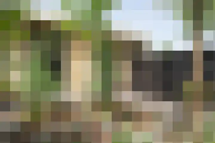 Dürst Brittlaan 43 Heerde thumbnail 7