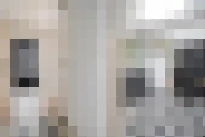 Dürst Brittlaan 43 Heerde thumbnail 8
