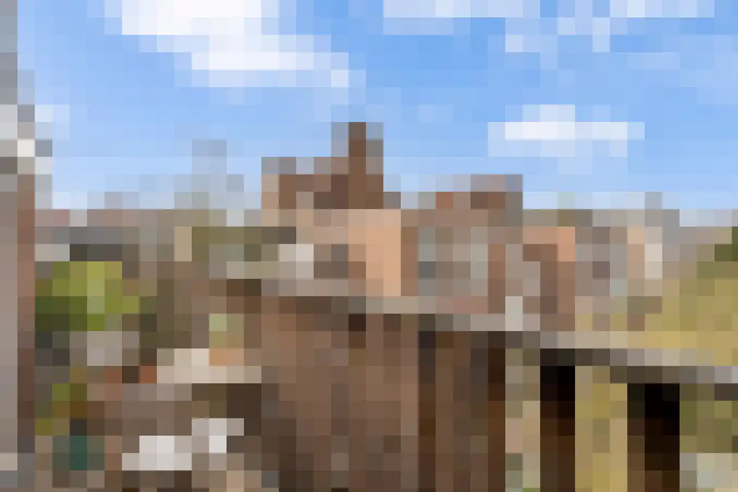 Dusartstraat 24 1 Amsterdam thumbnail 19