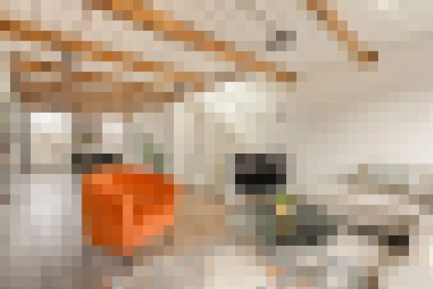 Dusartstraat 24 1 Amsterdam thumbnail 7