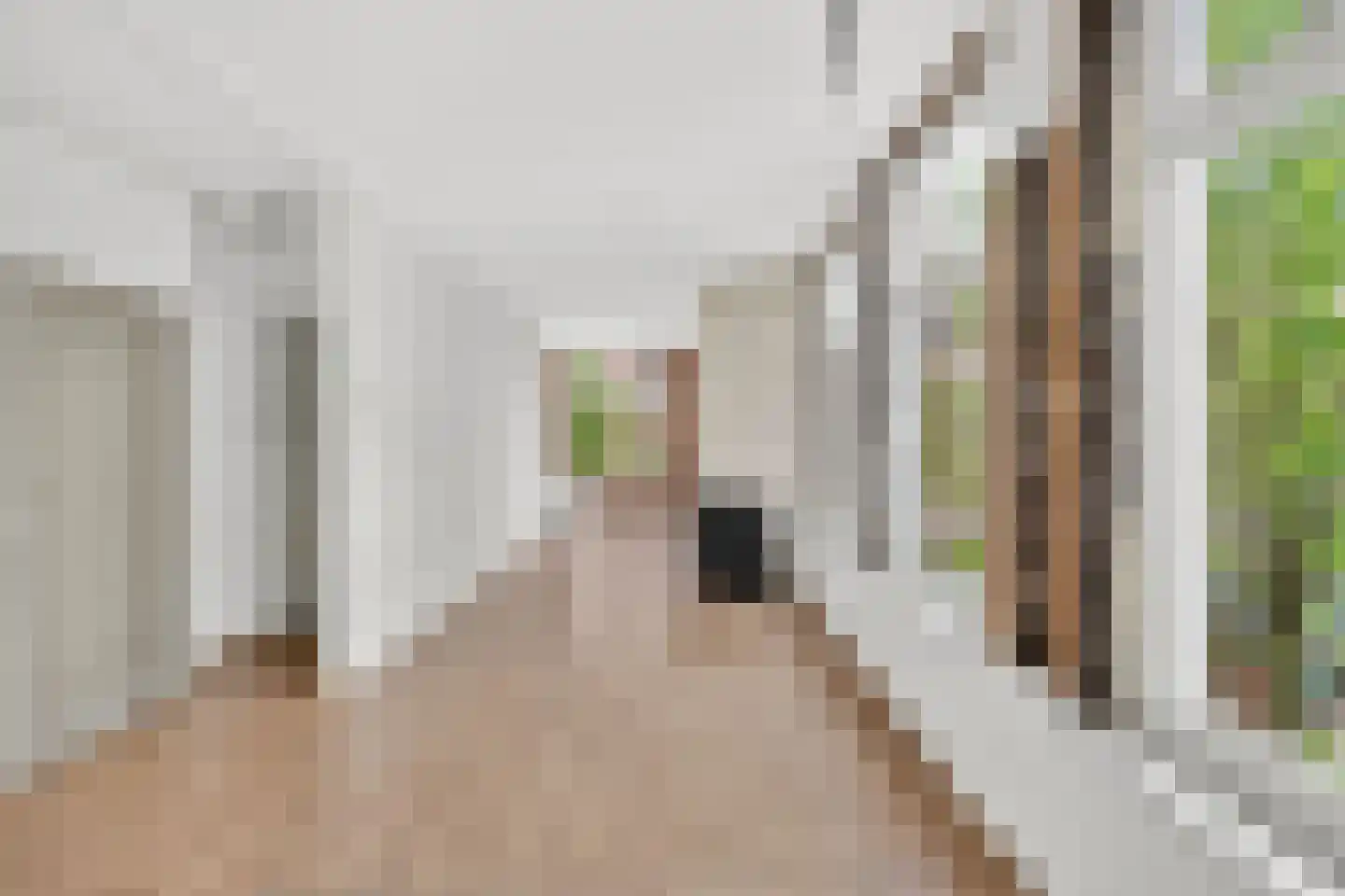 Dusartstraat 31 1 Amsterdam thumbnail 8