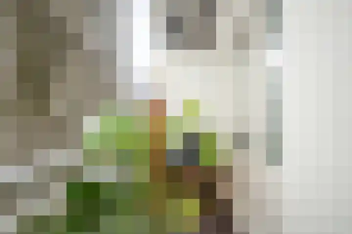 Dusartstraat 33 1 Amsterdam thumbnail 21