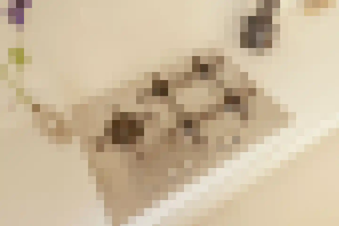 Dusartstraat 49 2 Amsterdam thumbnail 19