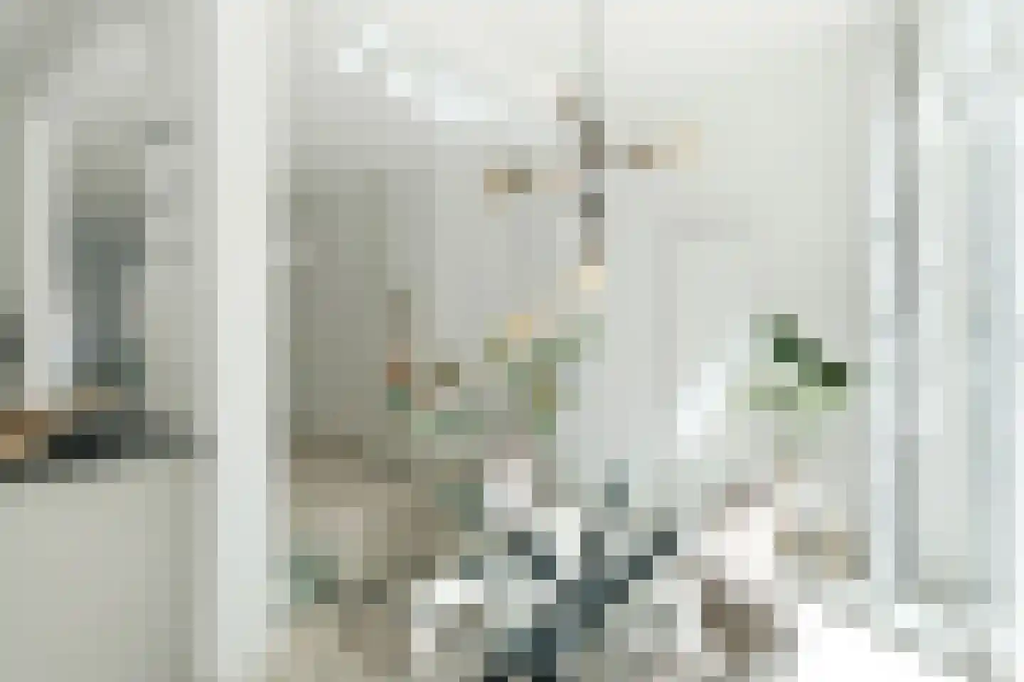 Dusartstraat 57 H Amsterdam thumbnail 8