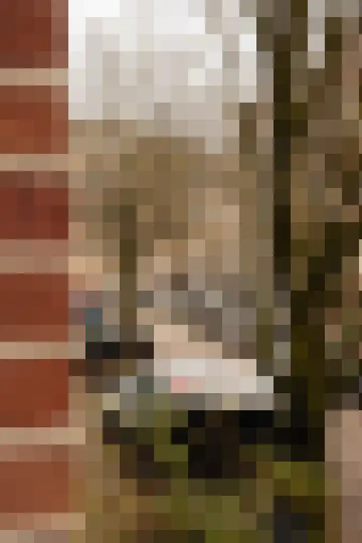 Dusartstraat 63 3 Amsterdam thumbnail 9