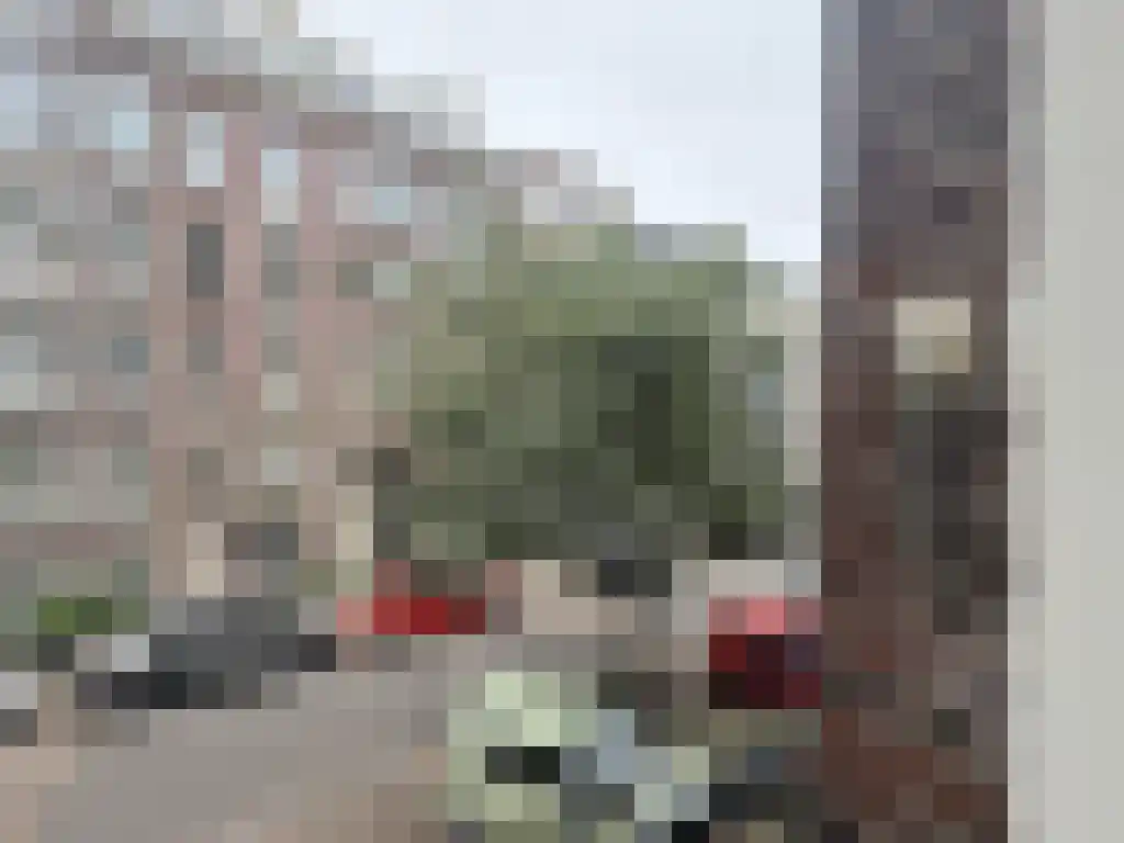 Dusartstraat 9 Amsterdam thumbnail 4