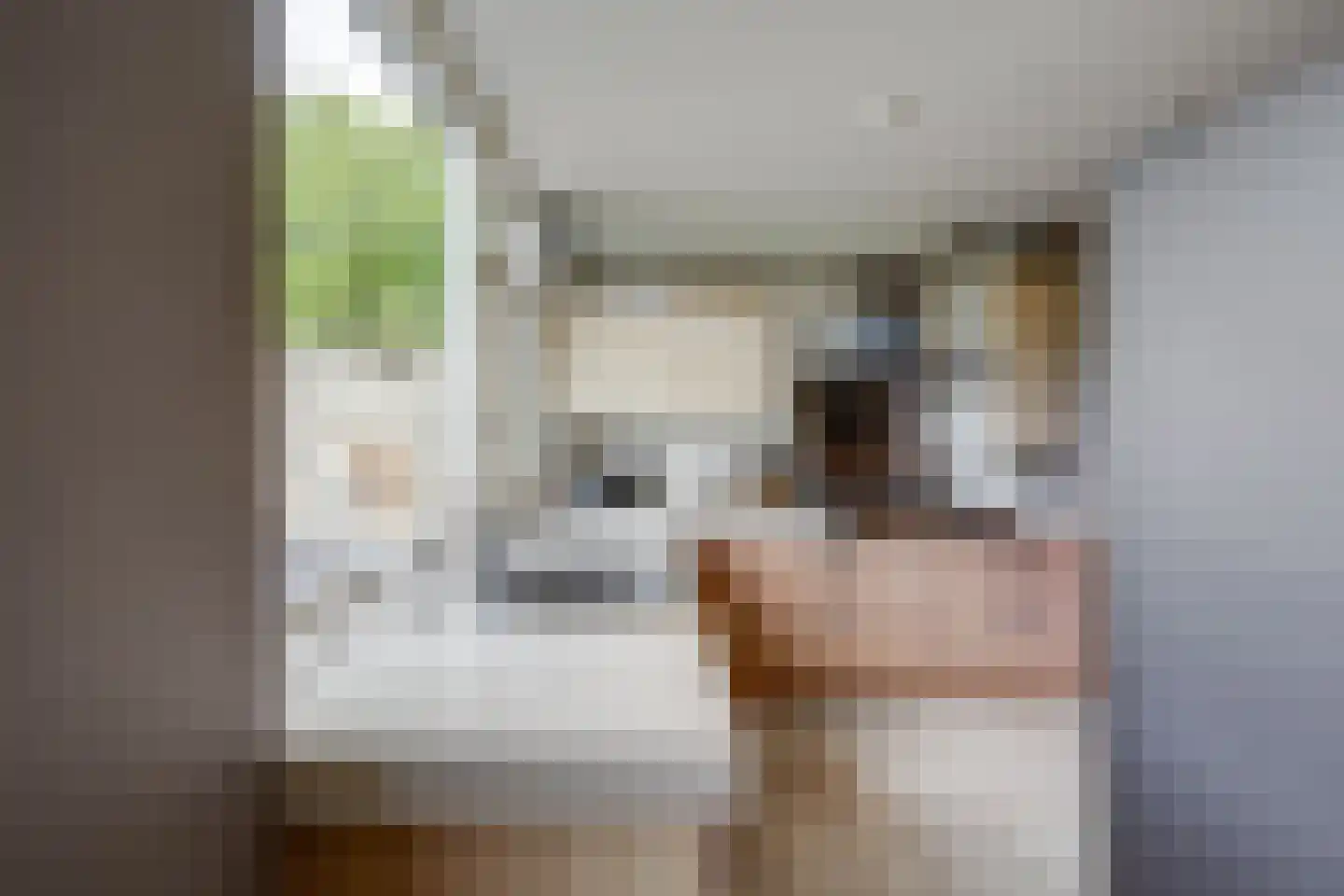 Dussekstraat 20 Tilburg thumbnail 14