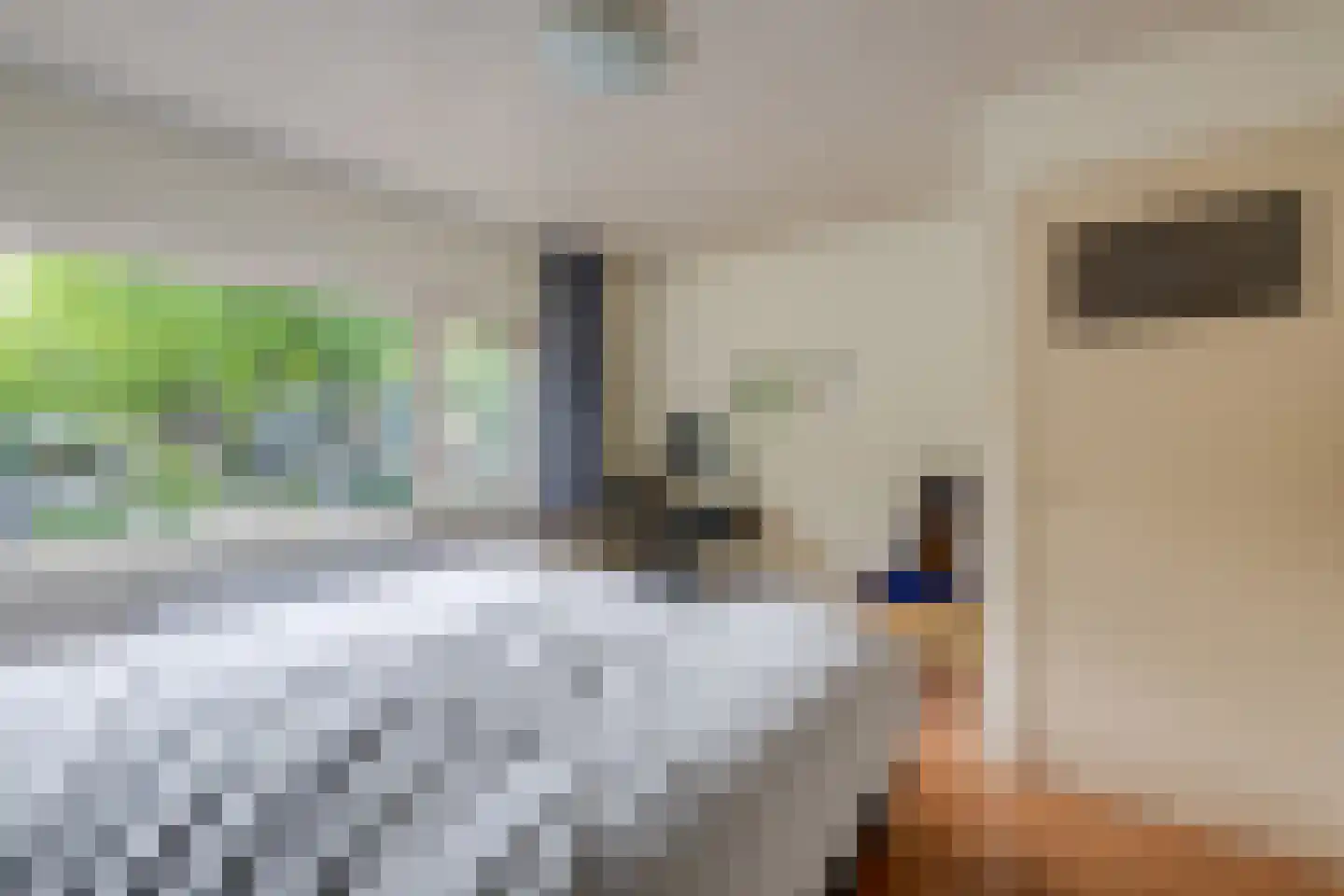 Dussekstraat 20 Tilburg thumbnail 21