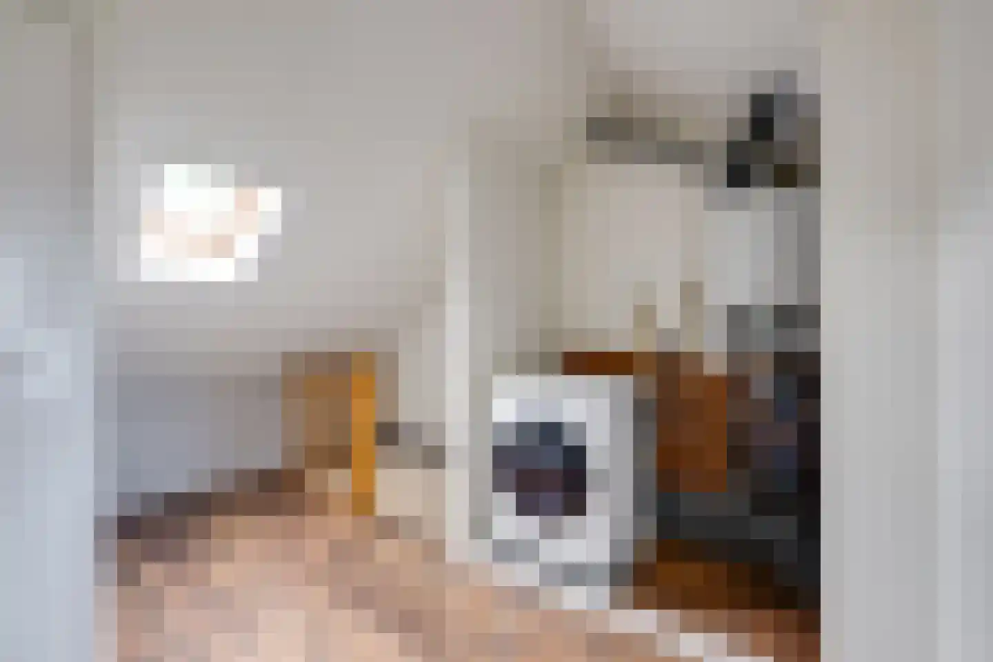Dussekstraat 20 Tilburg thumbnail 33