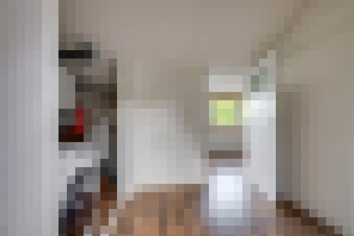 Dussekstraat 20 Tilburg thumbnail 34