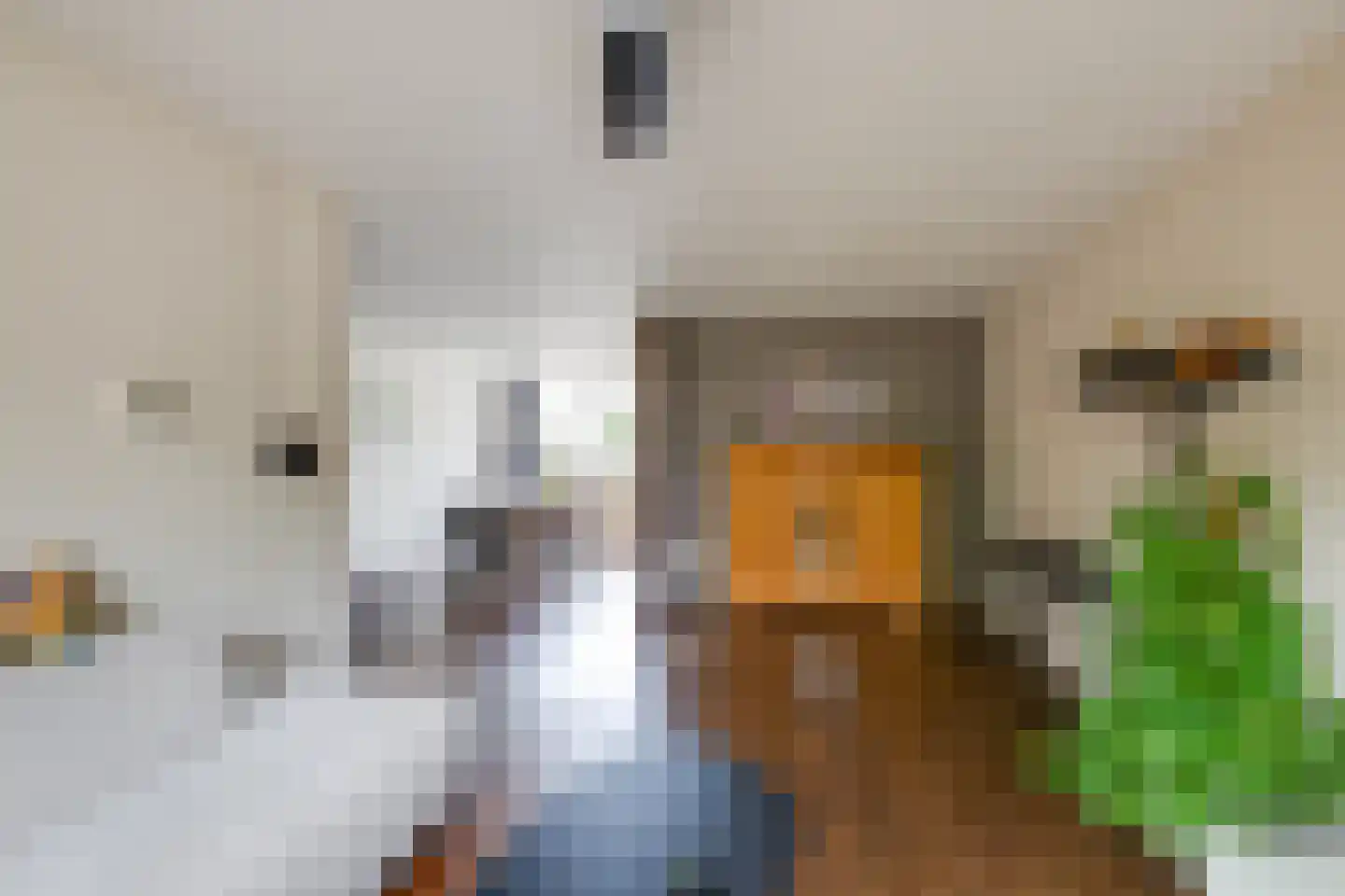 Dussekstraat 20 Tilburg thumbnail 8