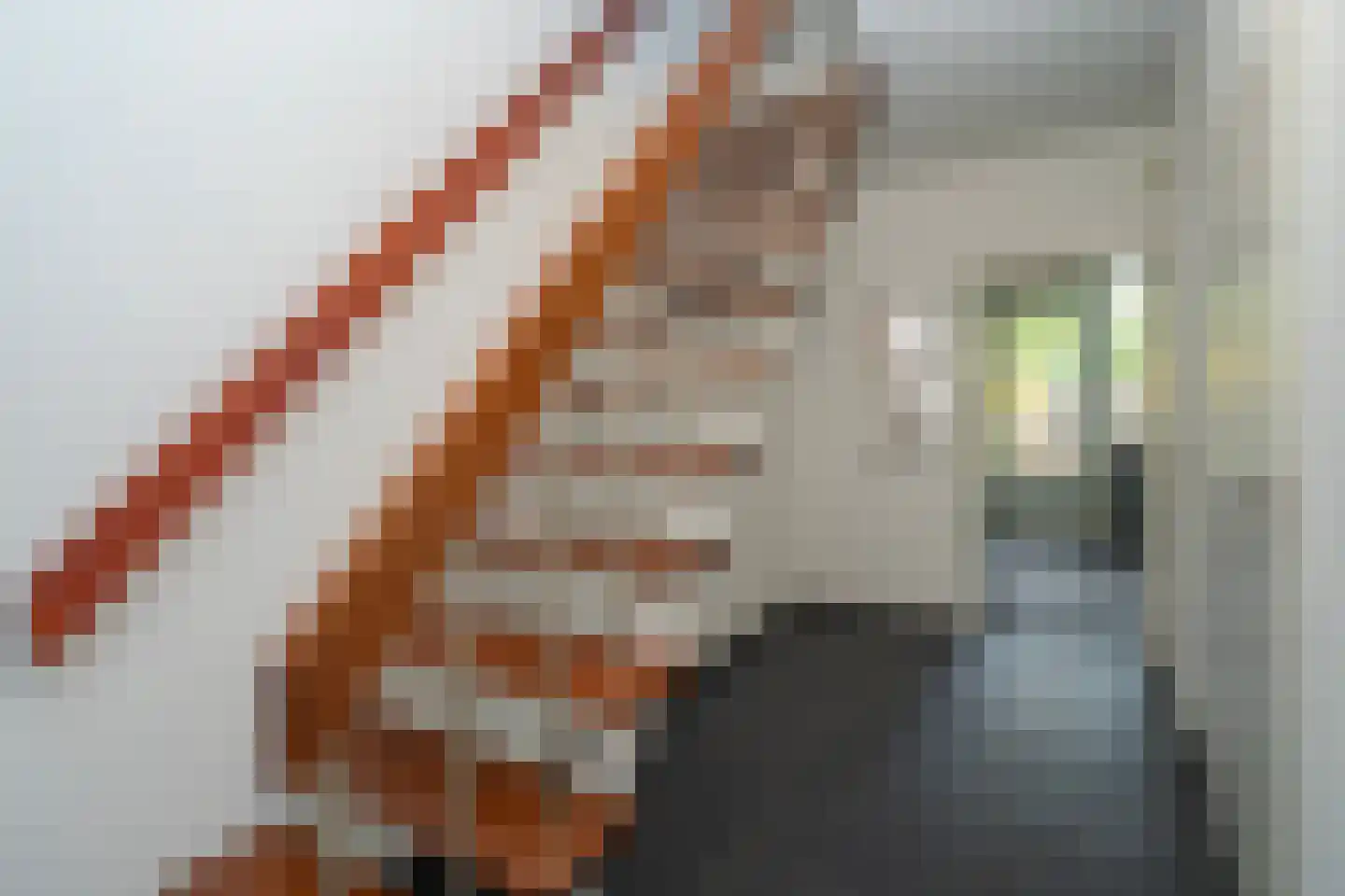 Dussekstraat 35 Tilburg thumbnail 10