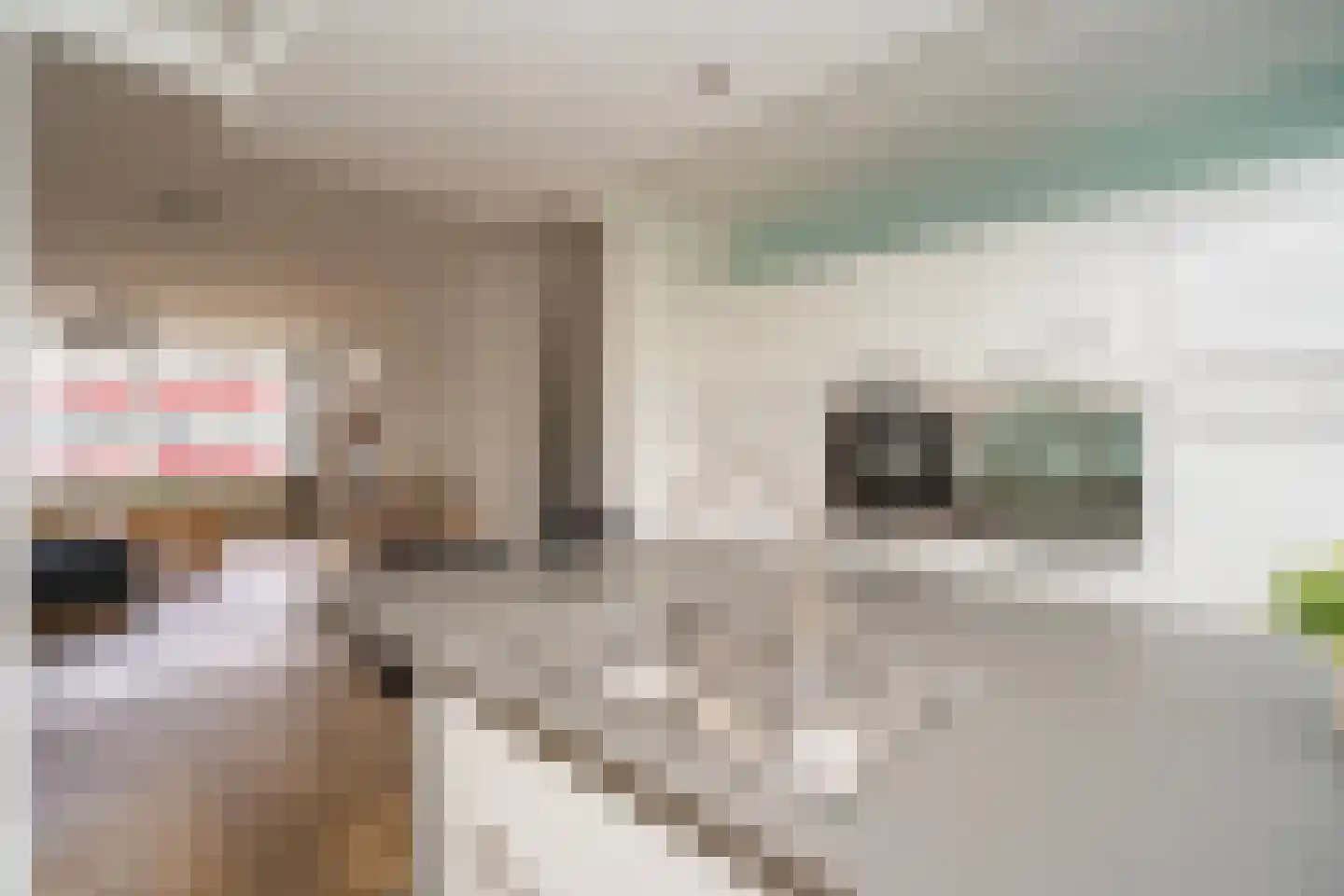 Dussekstraat 35 Tilburg thumbnail 30