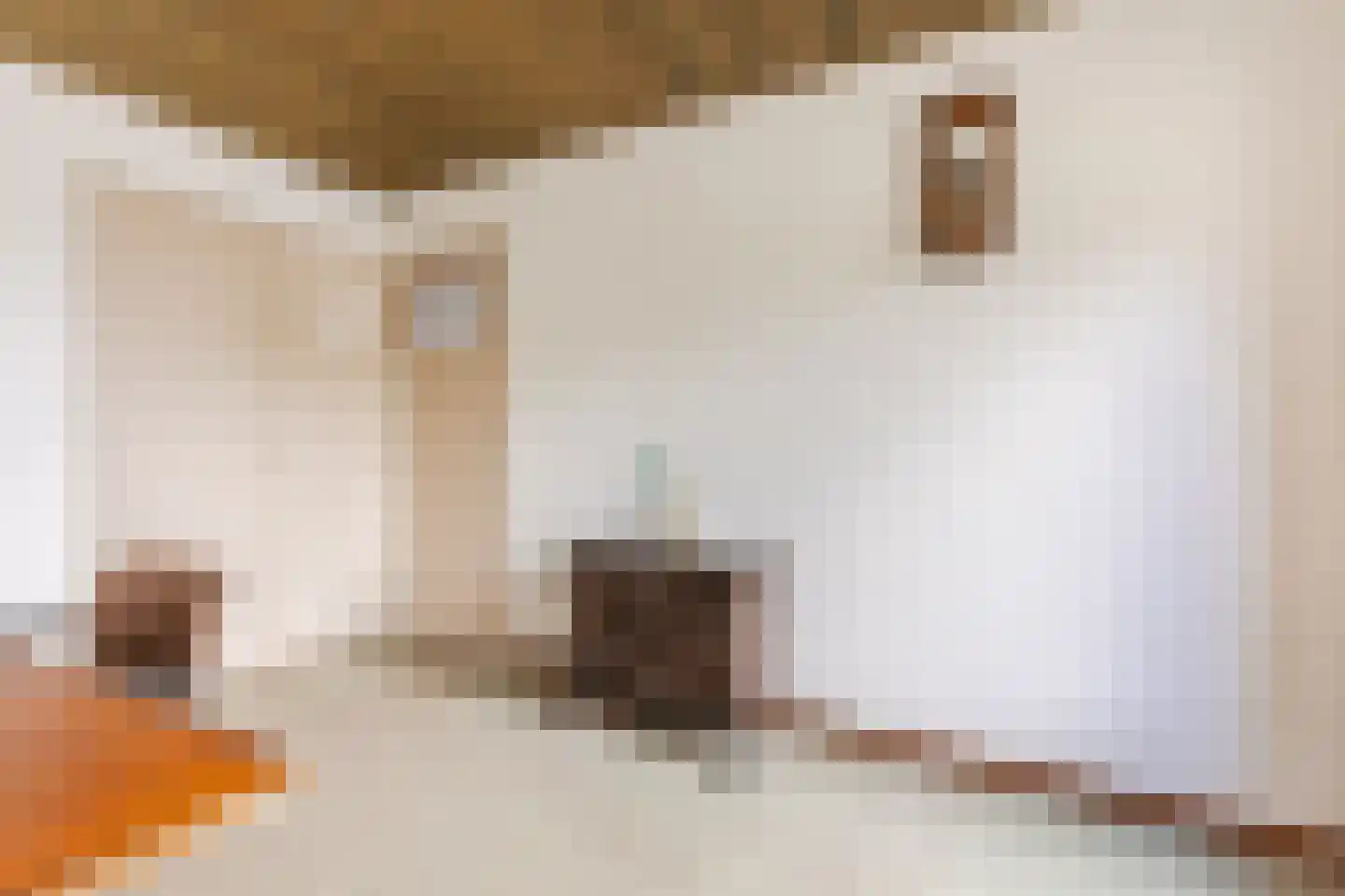 Dussekstraat 68 Tilburg thumbnail 15