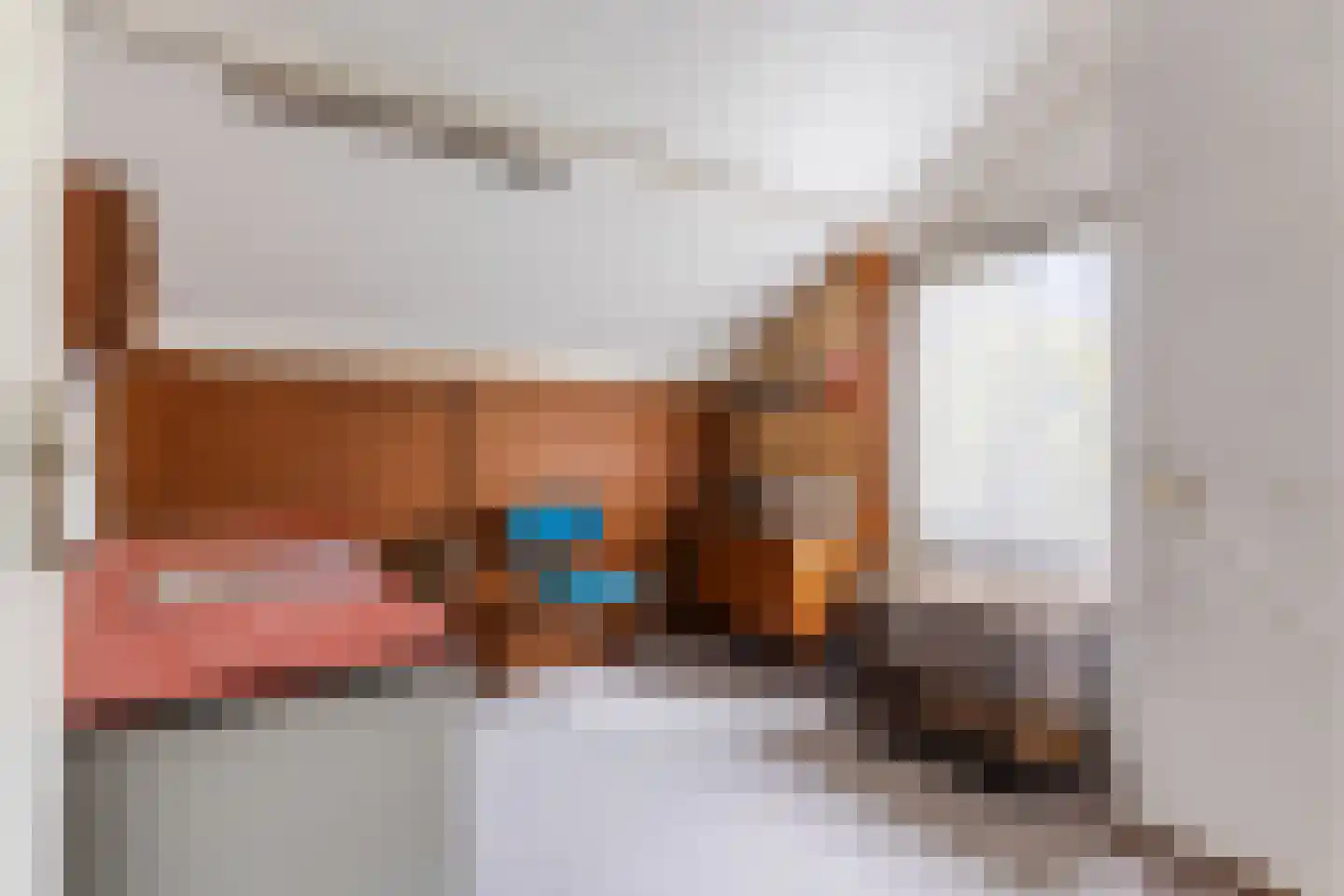 Dussekstraat 68 Tilburg thumbnail 18