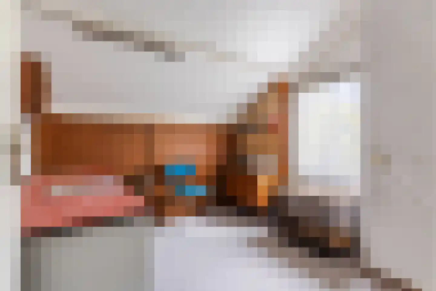 Dussekstraat 68 Tilburg thumbnail 19