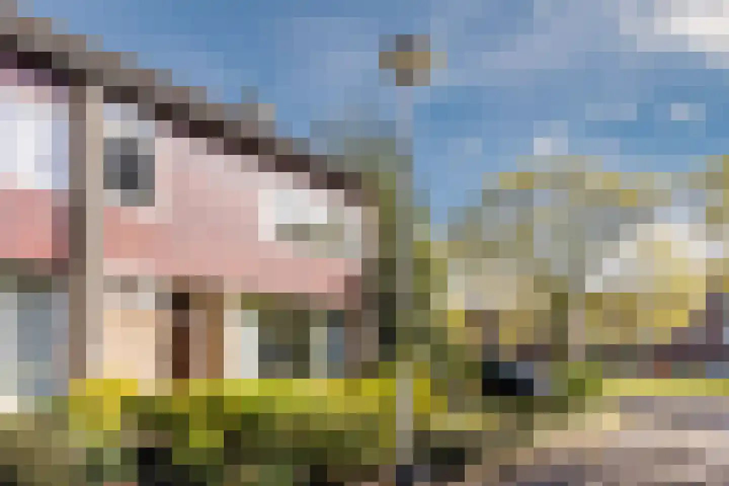 Dussekstraat 68 Tilburg thumbnail 26
